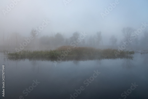 Autumn misty landscape on the river in the morning. Reeds and trees. © APHOTOSTUDIO