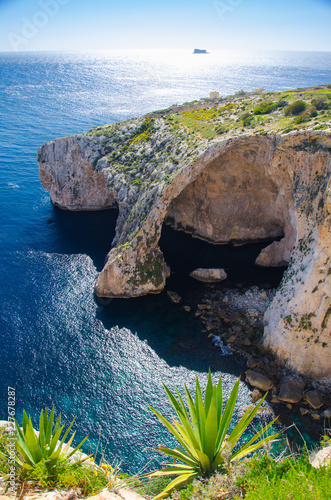 Blue grotto arch on Malta island coast, agave plant and Filfla island of Mediterranean sea on horizon background