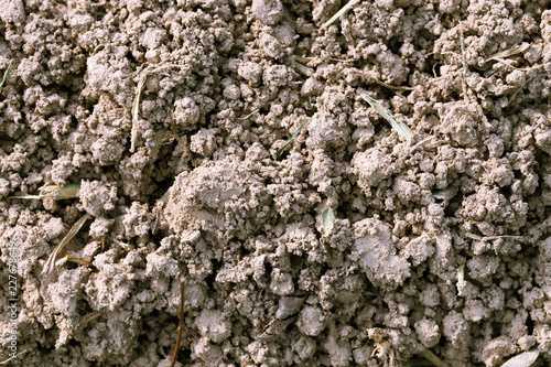 Soil texture background © Patcharida