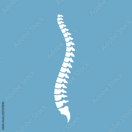 Strong healthy spinal cord vector icon
