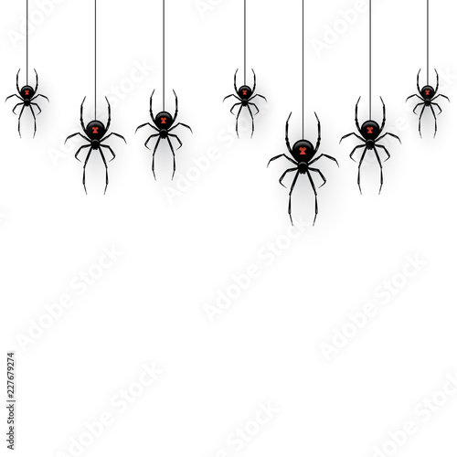 Black spiders hanging on a web isolated on white background. Vector design element. © backup16