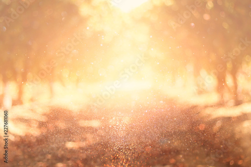 blurred abstract photo of light burst among trees and glitter golden bokeh lights. © tomertu