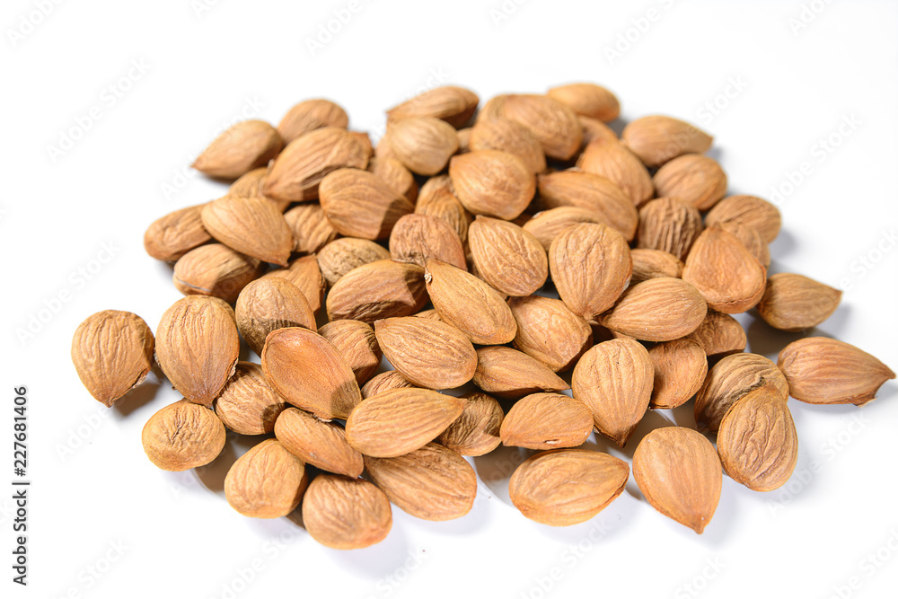 seeds apricots seeds apricots