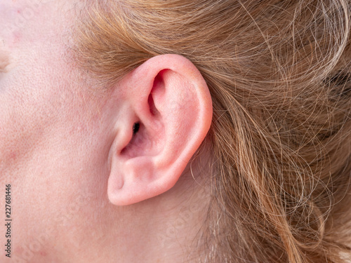 Ear of mature woman. Close up