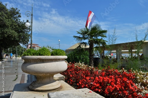 flowers and palmtrees next to a walkway in Croatia photo