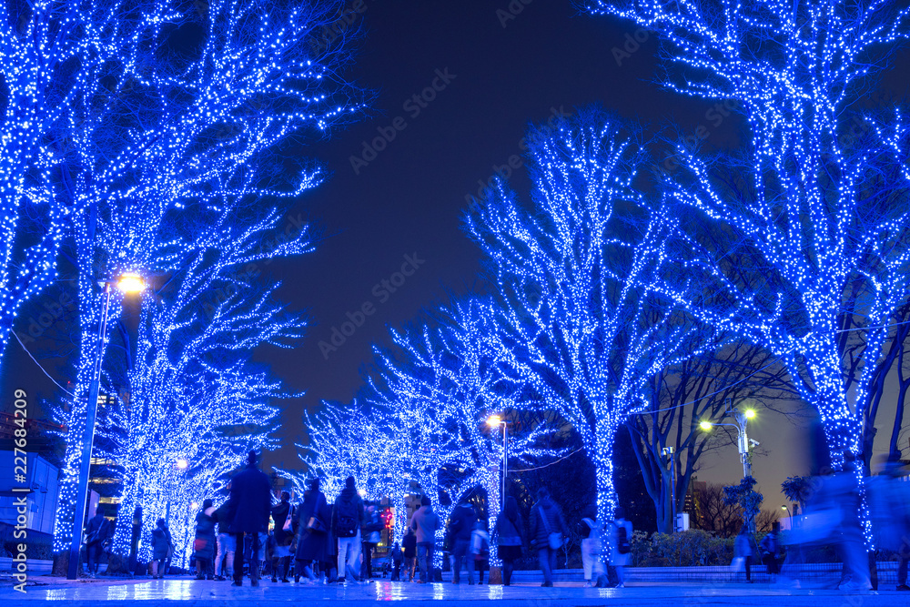 Naklejka premium Winter illumination at Yoyogi Park in Tokyo 青の洞窟