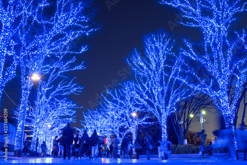 Winter illumination at Yoyogi Park in Tokyo 青の洞窟