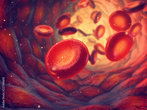 Red blood cells carry oxygen to all body tissues, Blood transfusion and donation photo