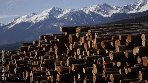 Mountain Lumber