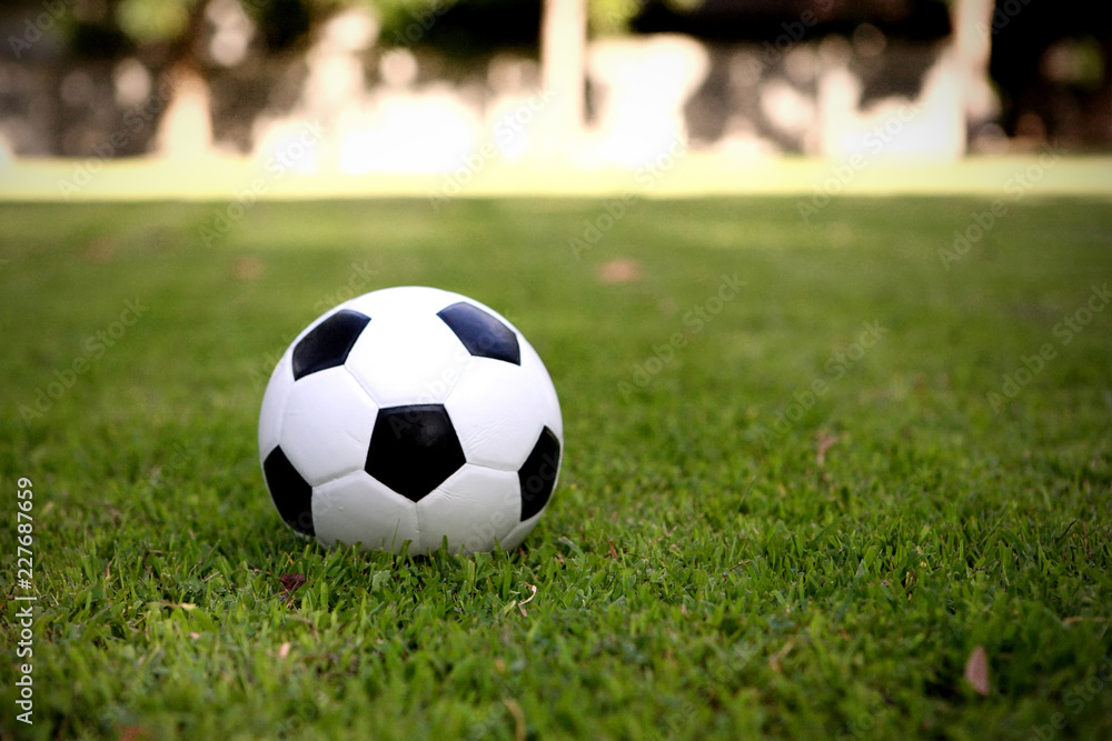 Obraz premium Soccer ball on grass