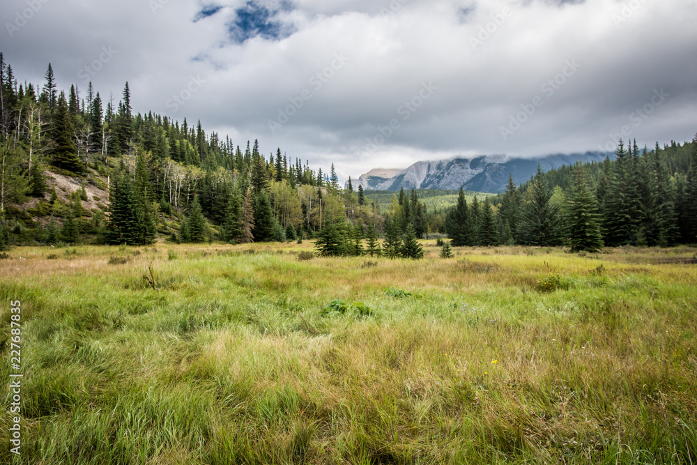 Lovely meadow and trail in the Bankhead ghost town near Banff Canada, in Banff National Park on an overcast summer day