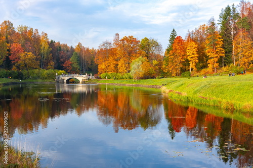 Autumn foliage in Pavlovsky park, Pavlovsk, St. Petersburg, Russia