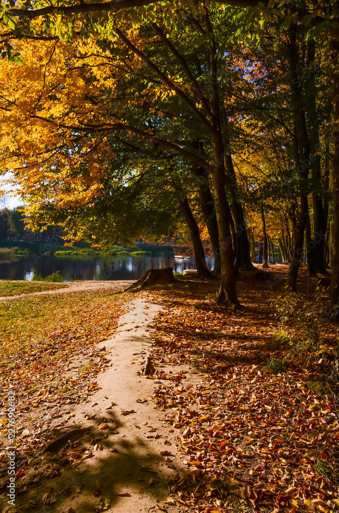 City park in the sunny day in the autumn season