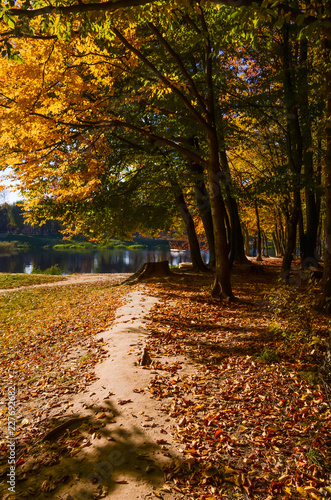 City park in the sunny day in the autumn season