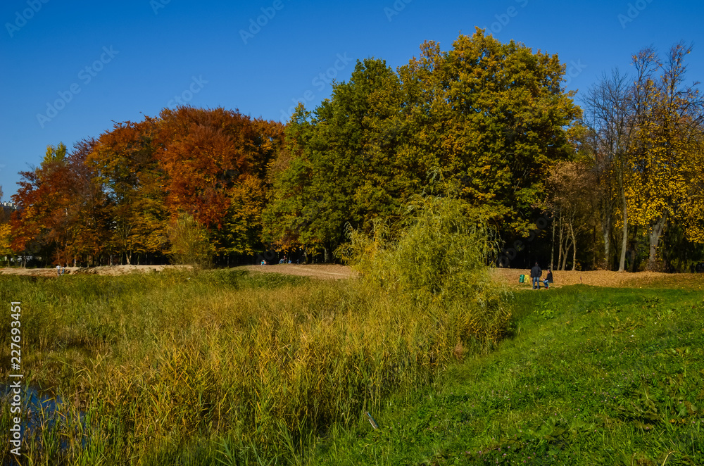 Naklejka premium City park in the sunny day in the autumn season