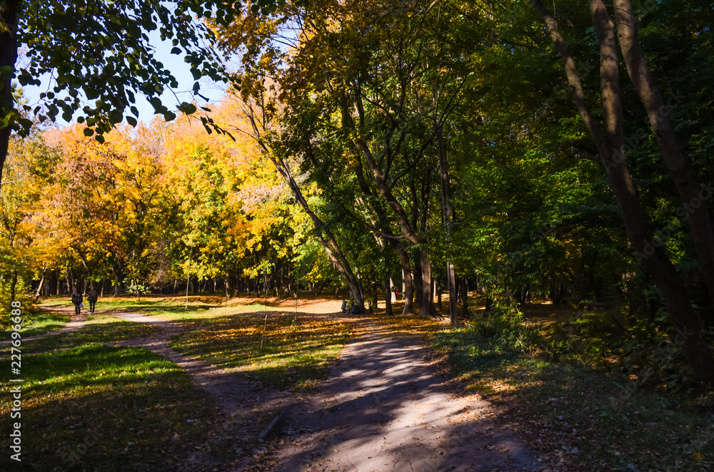 City park in the sunny day in the autumn season