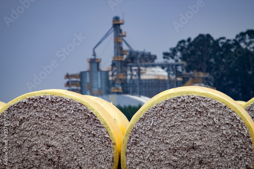 Round bales of harvested cotton wrapped in yellow plastic against blue sky. Brazil agriculture.