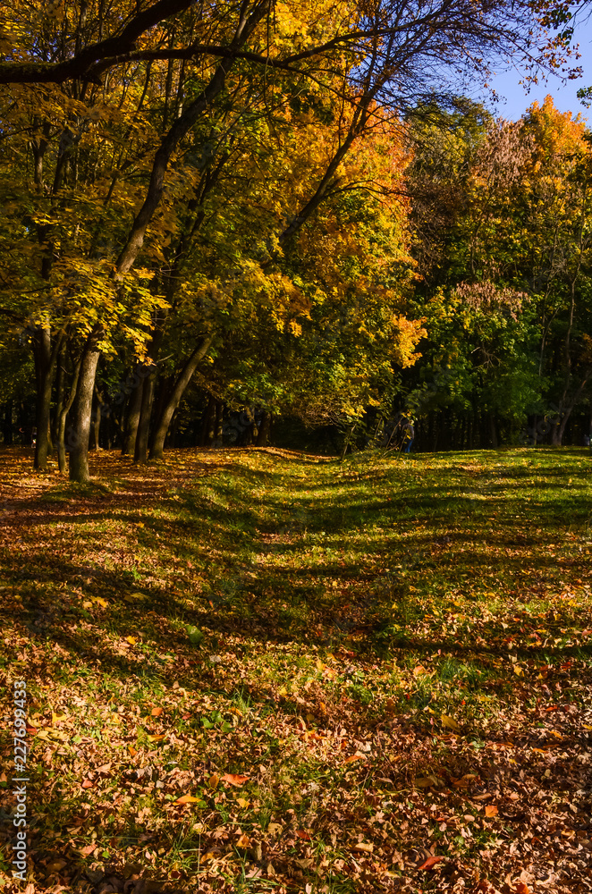 City park in the sunny day in the autumn season City park in the sunny day in the autumn season