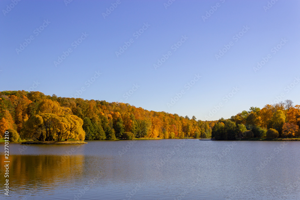 Landscape from the autumn forest and pond
