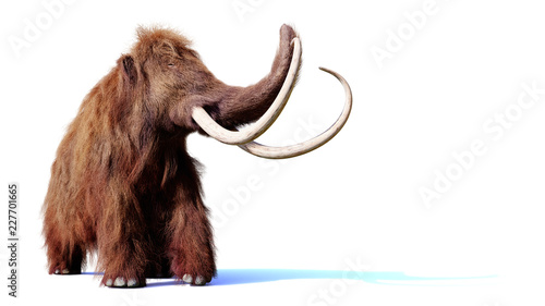 woolly mammoth, prehistoric mammal isolated with shadow on white background (3d render)