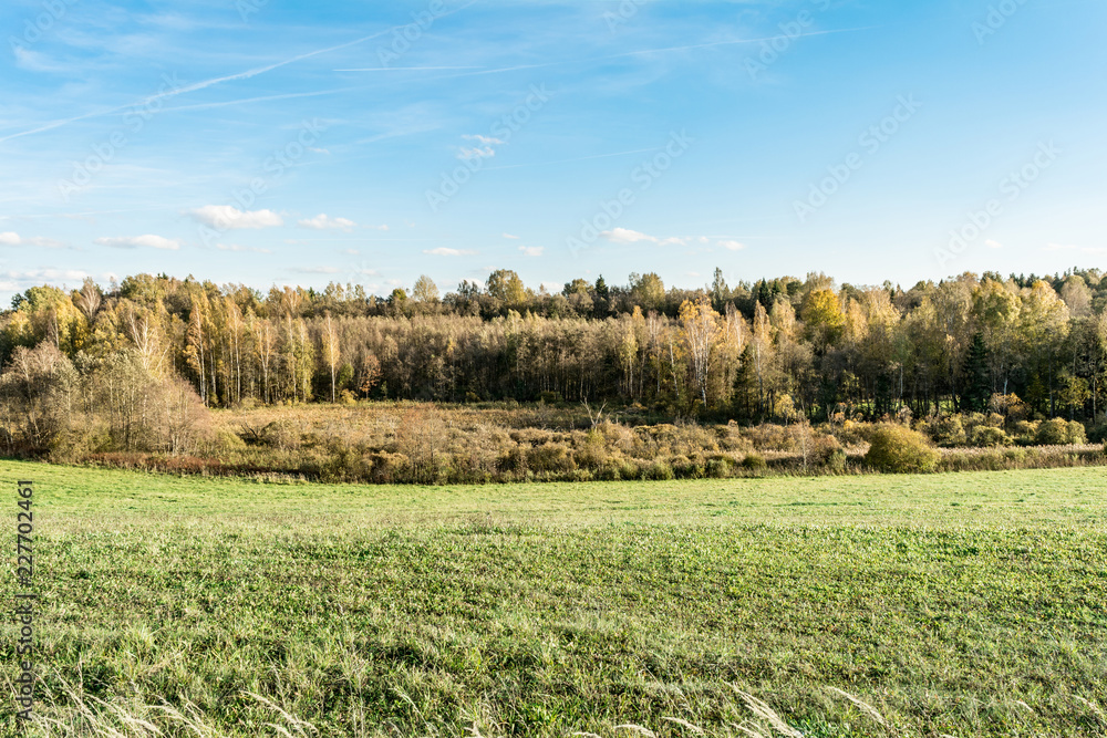 Obraz premium green field and edge of the autumn forest, evening time, the light of the setting sun, autumn landscape background