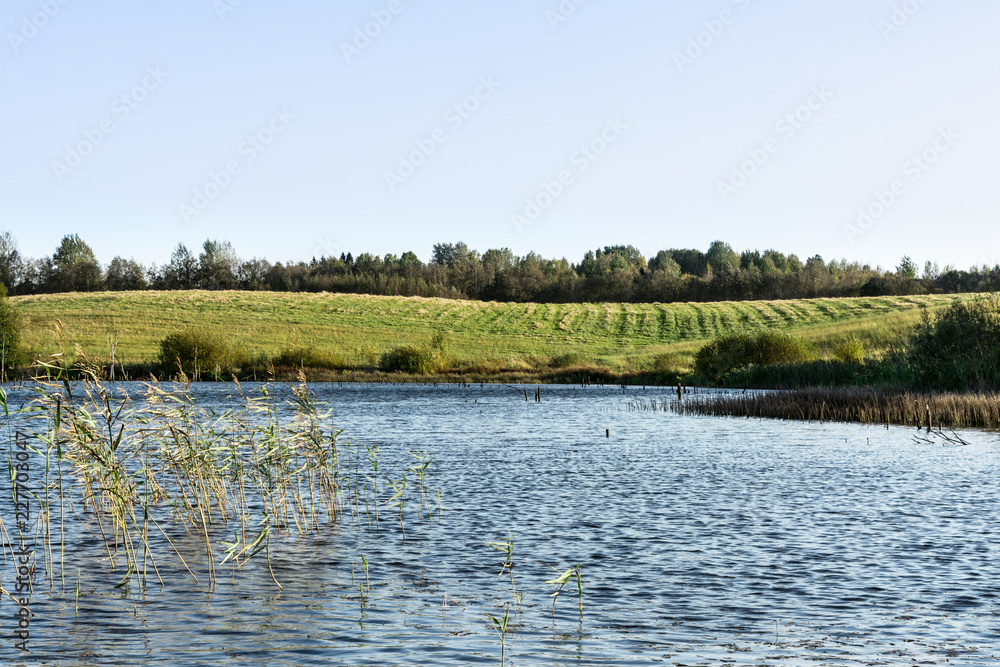 blue lake with shores overgrown with grass and trees, autumn landscape with a marshy water and the shifting light of the setting sun blue lake with shores overgrown with grass and trees, autumn landscape with a marshy water and the shifting light of the setting sun