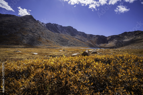 Fall colored tundra with Summit Lake and Mt. Evans, Colorado in the background.