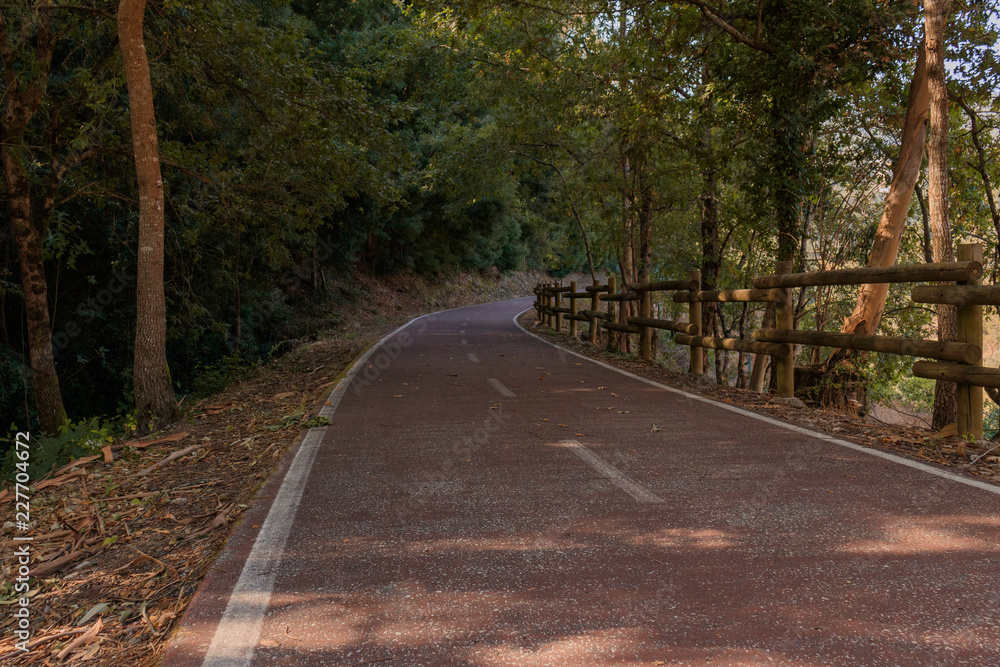 Obraz premium Autumn road