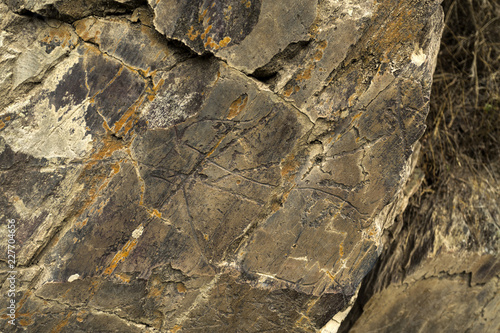 Coa River – Prehistoric Rock Engravings photo