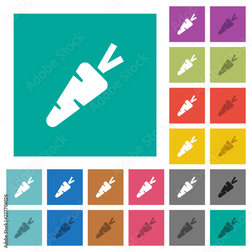 Carrot square flat multi colored icons