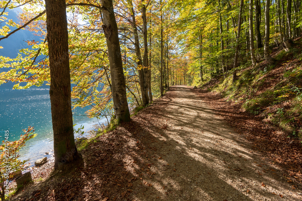 Obraz premium Wanderweg am Langbathsee mit vielen Laubbäumen im Herbst