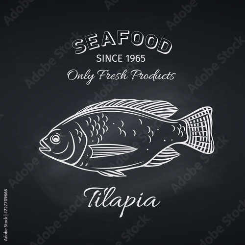 tilapia hand drawn icon badge