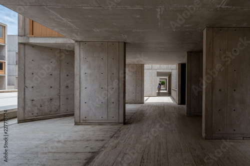 Salk Institute