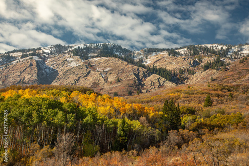 autumn aspen leaves in forest below mountain rock face with clouds