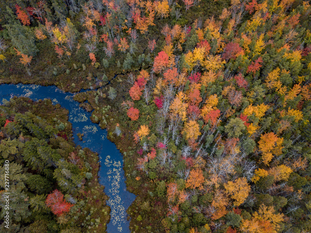 Drone Fall Foliage 