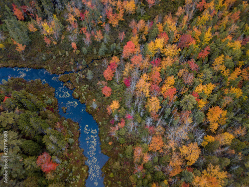 Drone Fall Foliage 