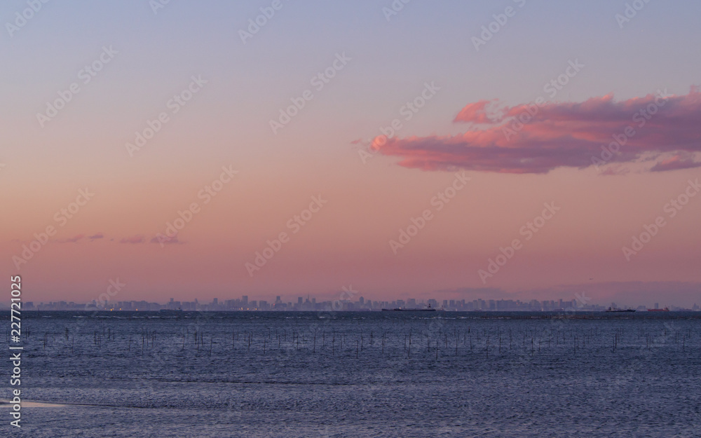 Fototapeta premium 木更津より東京湾望む