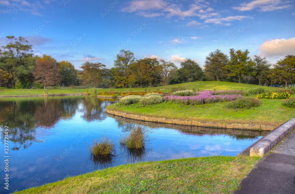 秋の公園 秋の公園