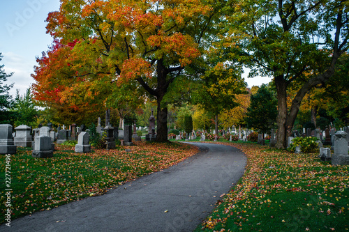 Graveyard road