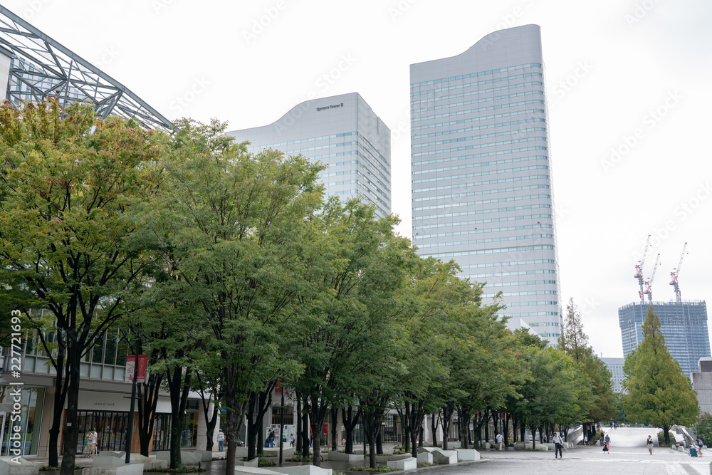 Obraz premium みなとみらい地区のビル群の風景