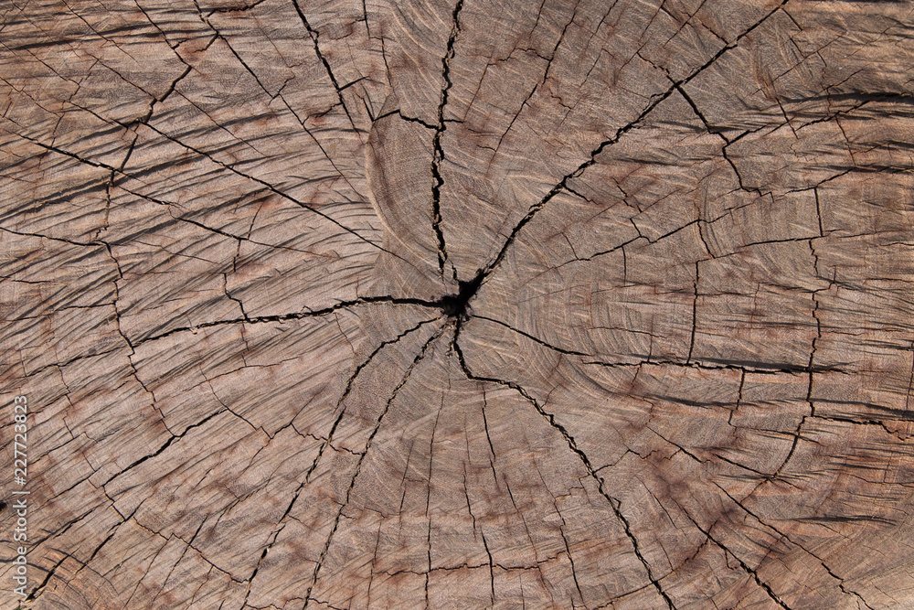 Fototapeta premium Weathered brown wood texture for background