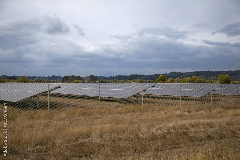 Front, angular view of  solar panels in a field of brown grass with clouded sky