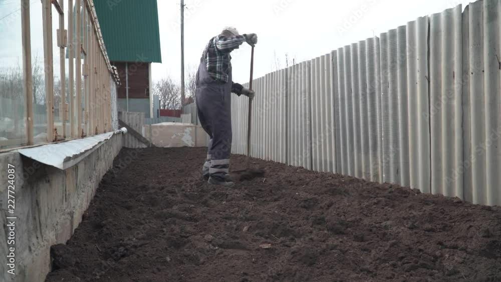 man leveling the ground with a rake man leveling the ground with a rake