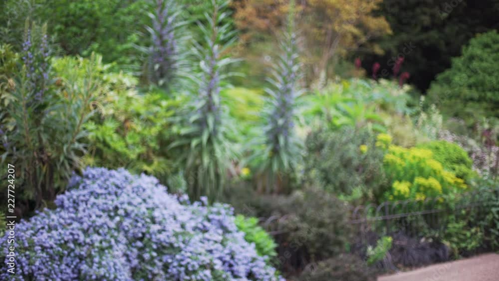 Defocused shot of beautiful garden in St. James park in London Defocused shot of beautiful garden in St. James park in London