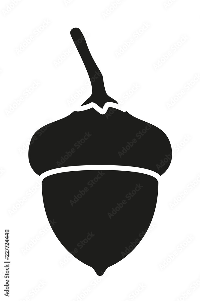 Black and white acorn silhouette Stock-Vektorgrafik | Adobe Stock