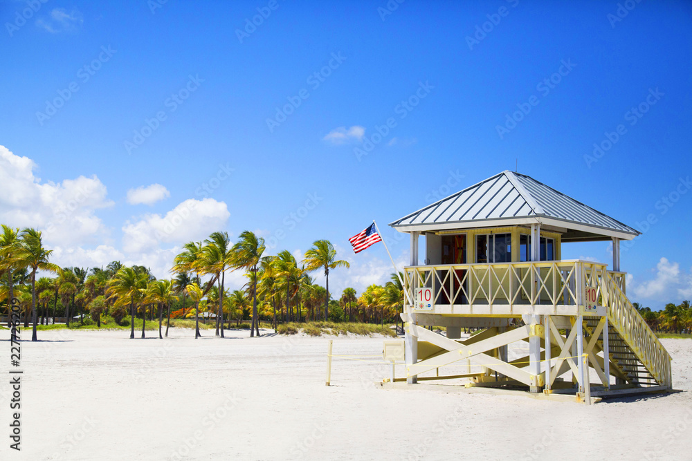 Obraz premium Crandon Park (Key Biscayne)