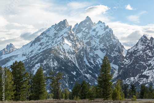Sharp Peaks with Pine Foreground