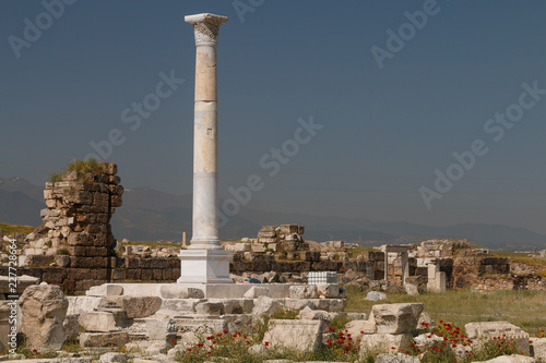 Ruins of the ancient town Laodicea on the Lycus, Turkey