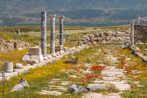 Ruins of the ancient town Laodicea on the Lycus, Turkey photo