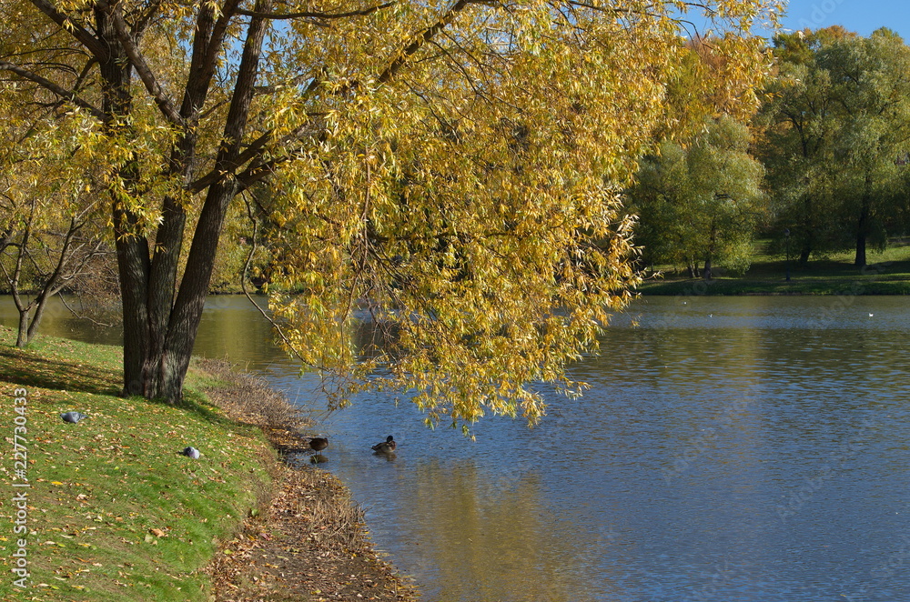 Pond in the Tsaritsyno Park in Moscow on autumn Sunny day, Russia